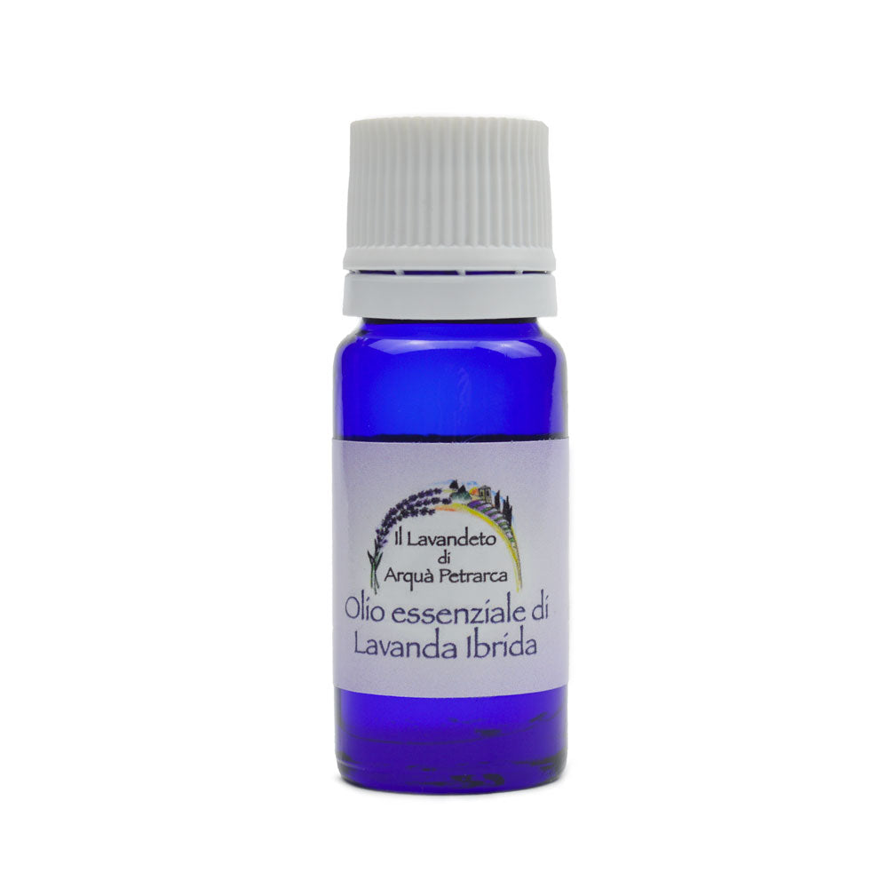 Olio Essenziale di Lavanda Ibrida